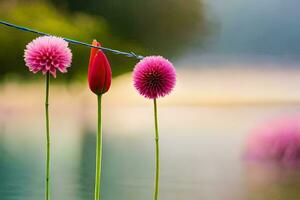 three pink flowers are standing in the water. AI-Generated photo