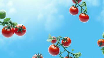 Fresh tomatoes isolated on blue background. AI Generated photo