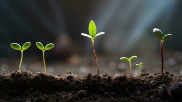 Young Plants Growing Up In Daylight In Garden. AI Generated photo