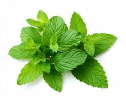 Mint leaf on white background. Fresh raw mint leaves isolated. Full depth of field. AI Generated photo