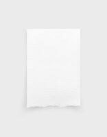 Torn paper edges. Ripped paper texture. Paper tag. White paper sheet for background with clipping path. Close up. photo