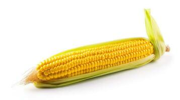 Fresh Corncobs or corn ears isolated on white background.  Product package design element. AI Generated photo