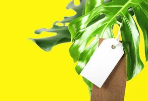 Label tag mock up on monstera leaves on bright yellow background. Green friday concept. photo