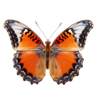 kleurrijk vlinder ai gegenereerd png