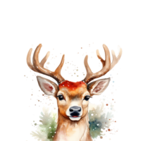 Spotted Deer  ai generated png