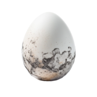 Domestic goose Egg Chicken, a goose ai generated png
