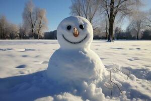 un monigote de nieve es en pie en un nieve campo con nubes rodeando eso foto