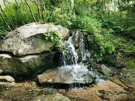 a waterfall in the woods photo