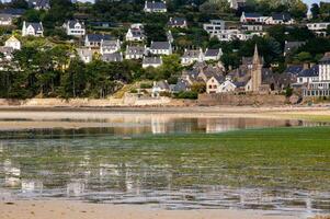Green Algae Invasion Ecological Concern in Saint-Michel-en-Grve, Brittany, France photo