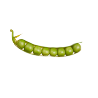 pea no background png