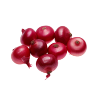 Onion no background png