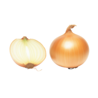 Onion no background png