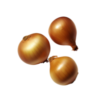 Onion no background png