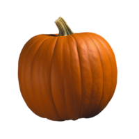 Pumpkin no background png