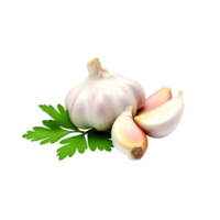 garlic no background png