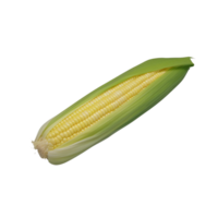 Corn no background png