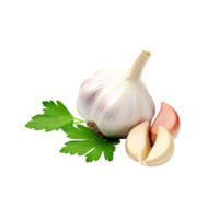 knoflook Nee achtergrond png