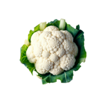 Blumenkohl Nein Hintergrund png