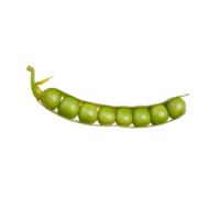 pea no background png