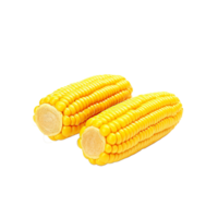 maíz No antecedentes png