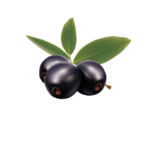 Olive no background png