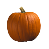 Pumpkin no background png