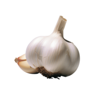 garlic no background png