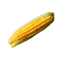 Corn no background png