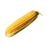 Corn no background png