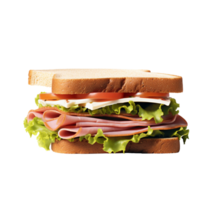 délicieux sandwich non Contexte png