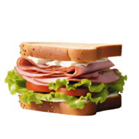 Delicious sandwich no background png