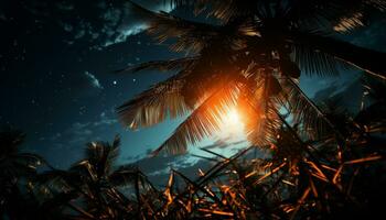 Palm tree silhouette, sunset beauty in nature, tranquil Caribbean seascape generated by AI photo