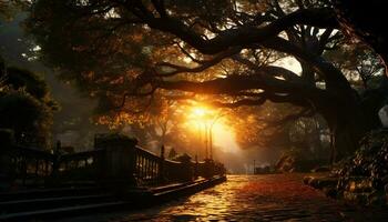 Autumn forest, foggy night, leafy dusk, spooky sunset landscape generated by AI photo