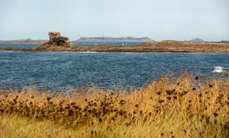 Coastal Beauty in Cotes d'Armor, Brittany, France photo