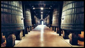 Vast Oak Barrels in an Industrial Wine Cellar photo