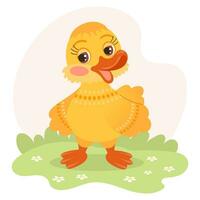 Cute cartoon little duckling, gosling character on a meadow with daisy flowers. Illustration in flat style. Baby print, card. Vector