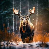 Majestic Moose in Autumn Generative AI Bokeh Art photo