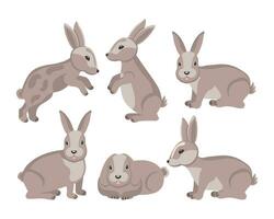 Set of cute realistic rabbits, haries in different poses. Animal illustration, vector