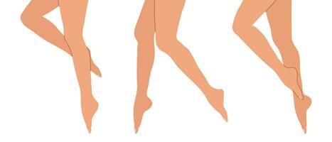 Set of female elegant slender legs. Various female legs. Collection, vector
