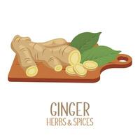 Roots and slices of ginger on a cutting board. Herbs and spices. Illustration, vector