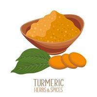 Turmeric root and dry turmeric powder. Herbs and spices. Curcumin. Illustration, vector