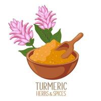 Dry turmeric powder and turmeric flowers. Herbs and spices. Curcumin. Botanical illustration, vector