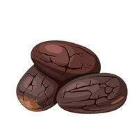 Vector illustration, roasted cocoa nibs, isolated white background.