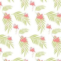 birds flamingo and flowers. frames with flamingo. flamingo background vector