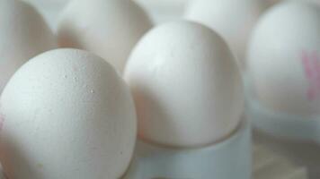 close-up de ovos em uma tigela. video