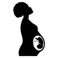 woman with baby. A pregnant woman with a child in her womb. vector illustration