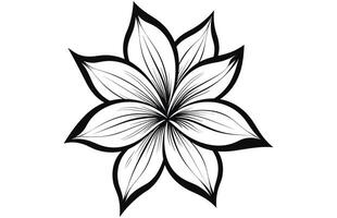 Line art vanilla flower illustration, Vanilla flower sketch ink vector illustration.