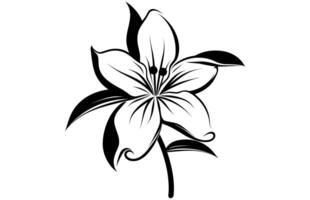 Line art vanilla flower illustration, Vanilla flower sketch ink vector illustration.