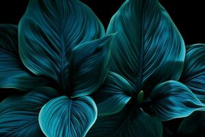 Abstract plant beauty texture jungle nature green leaves dark light garden photo