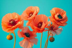 Decorative spring flowers flora background red blossom poppy plant floral summer nature photo